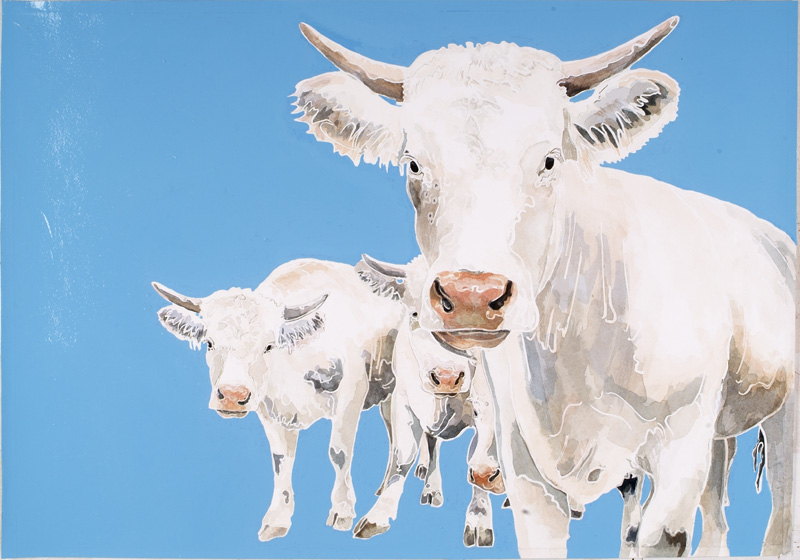 DSCF0151 connie sprinkhuizen