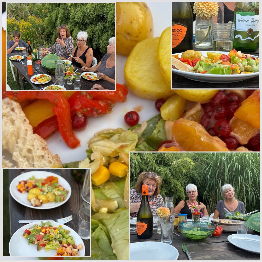 46be204a-e451-4e20-9cd5-32a8ab203274